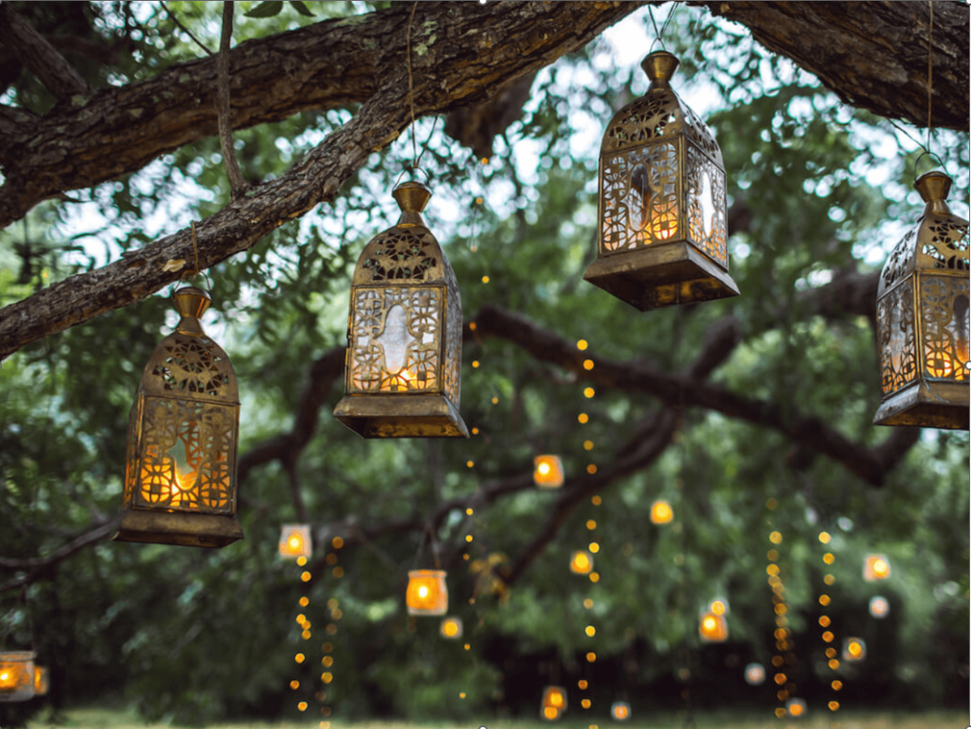 Cómo poner luces en un árbol del jardín - HOOLED